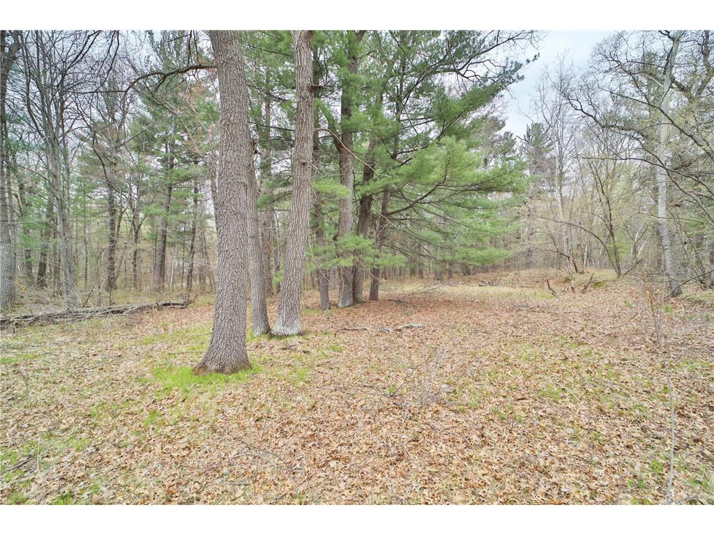 33235 Aspen Lane Motley MN 56466 7069178 image17
