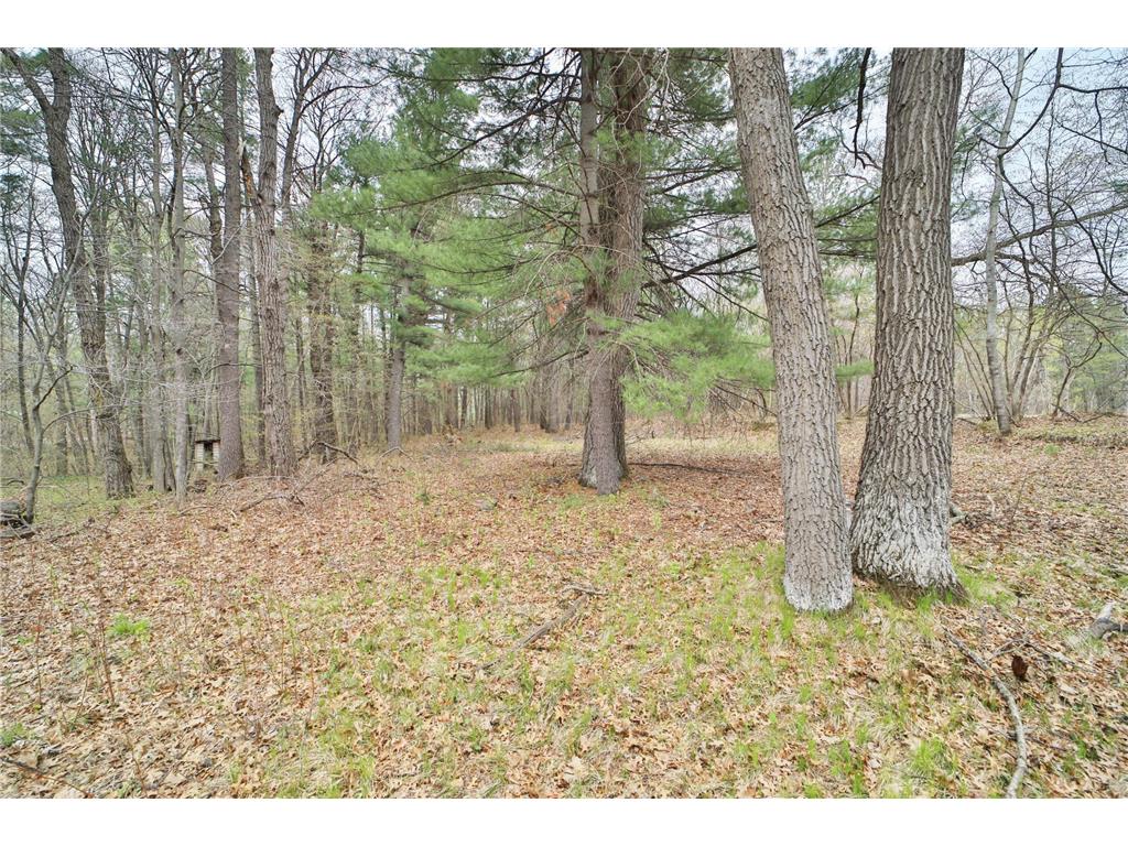 33235 Aspen Lane Motley MN 56466 7069178 image18