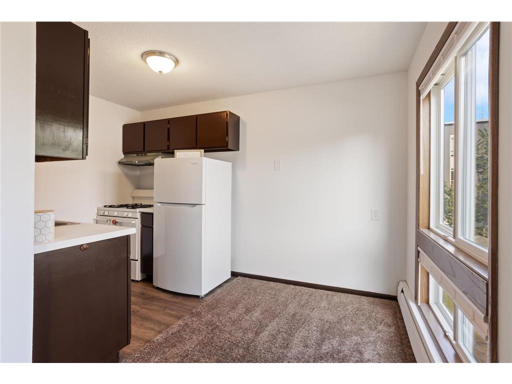333 8th Street SE #305 Minneapolis MN 55414 7005727 image10