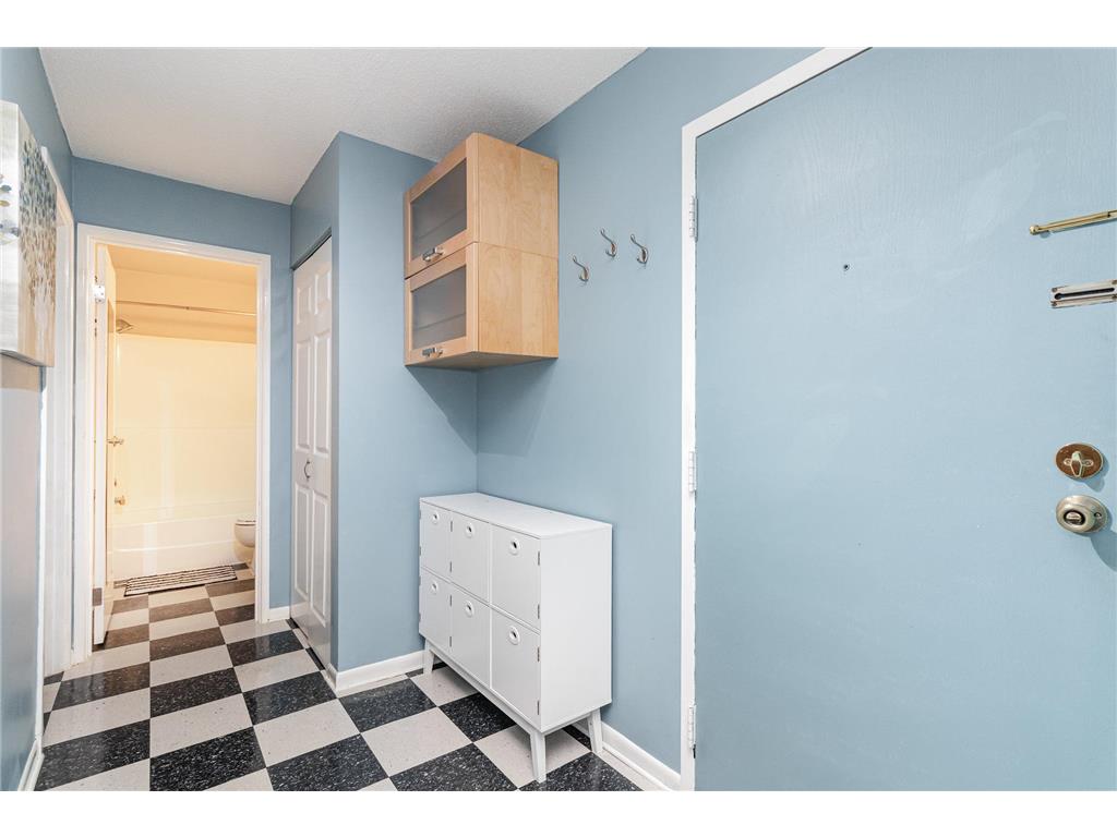 333 8th Street SE #316 Minneapolis MN 55414 7045738 image14
