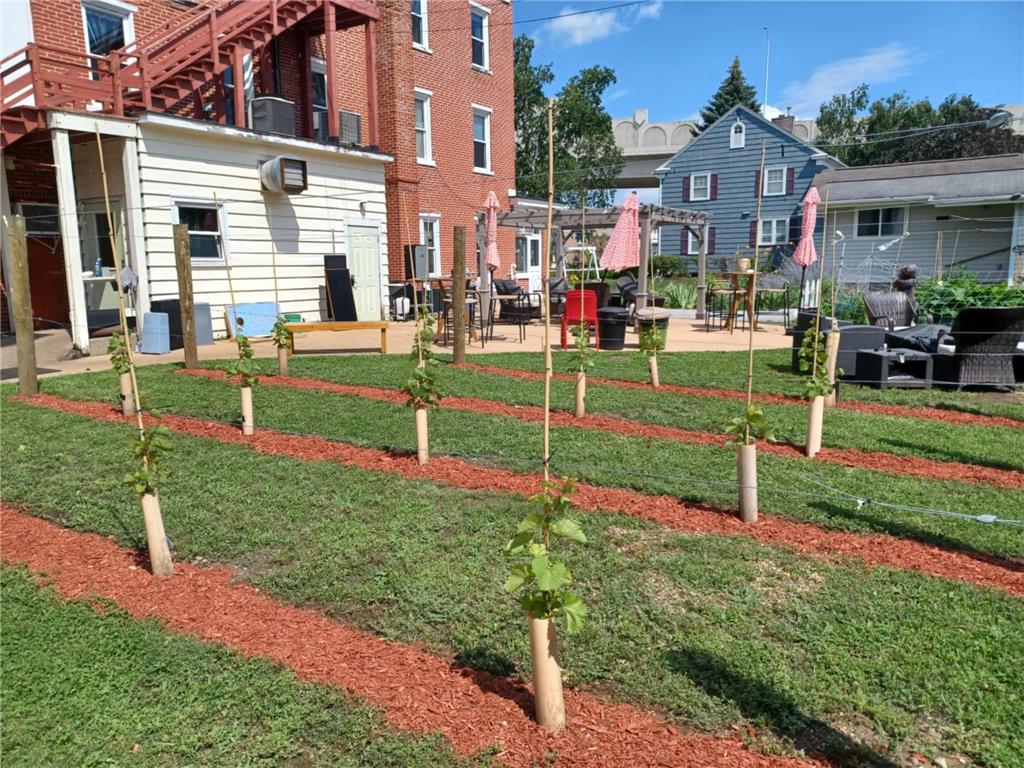 333 Main Street W Wabasha MN 55981 - Mississippi 6719954 image13