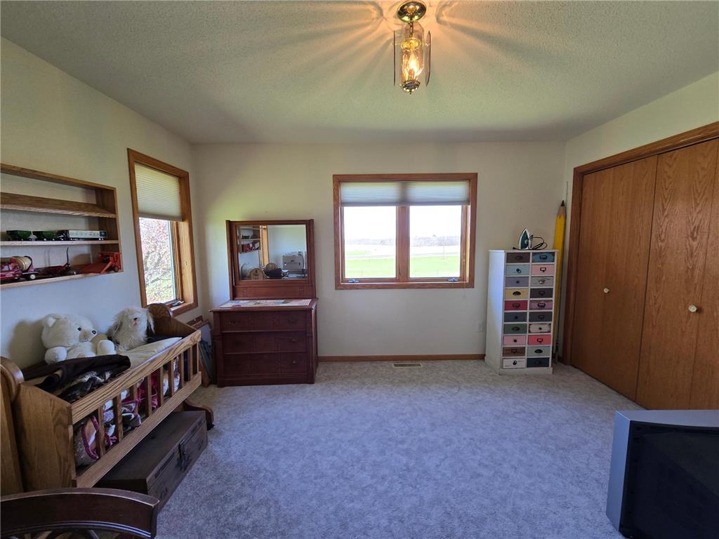 33303 County Road 29 Peterson MN 55962 7058093 image20