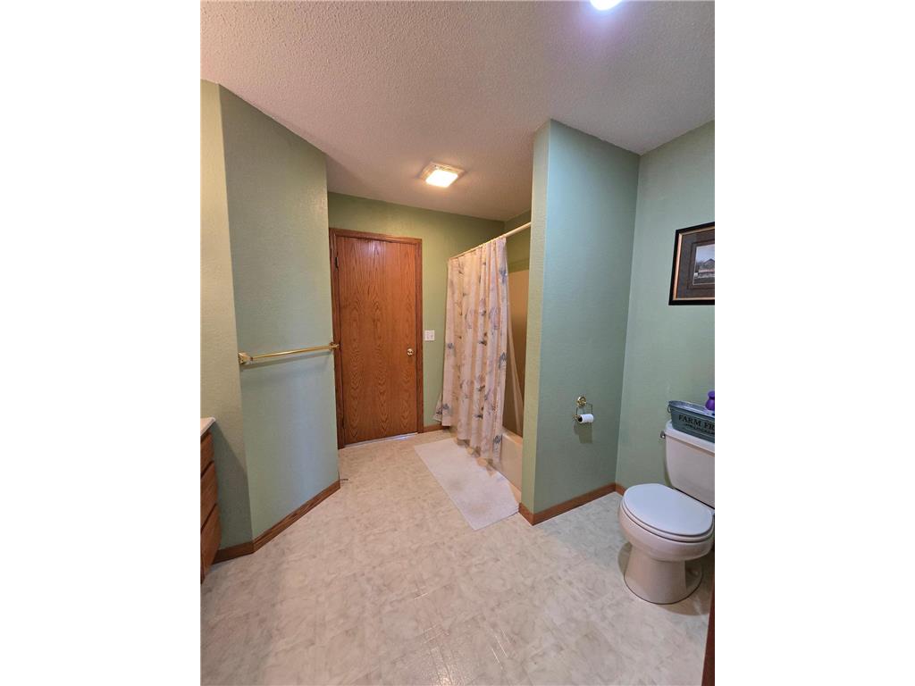 33303 County Road 29 Peterson MN 55962 7058093 image21