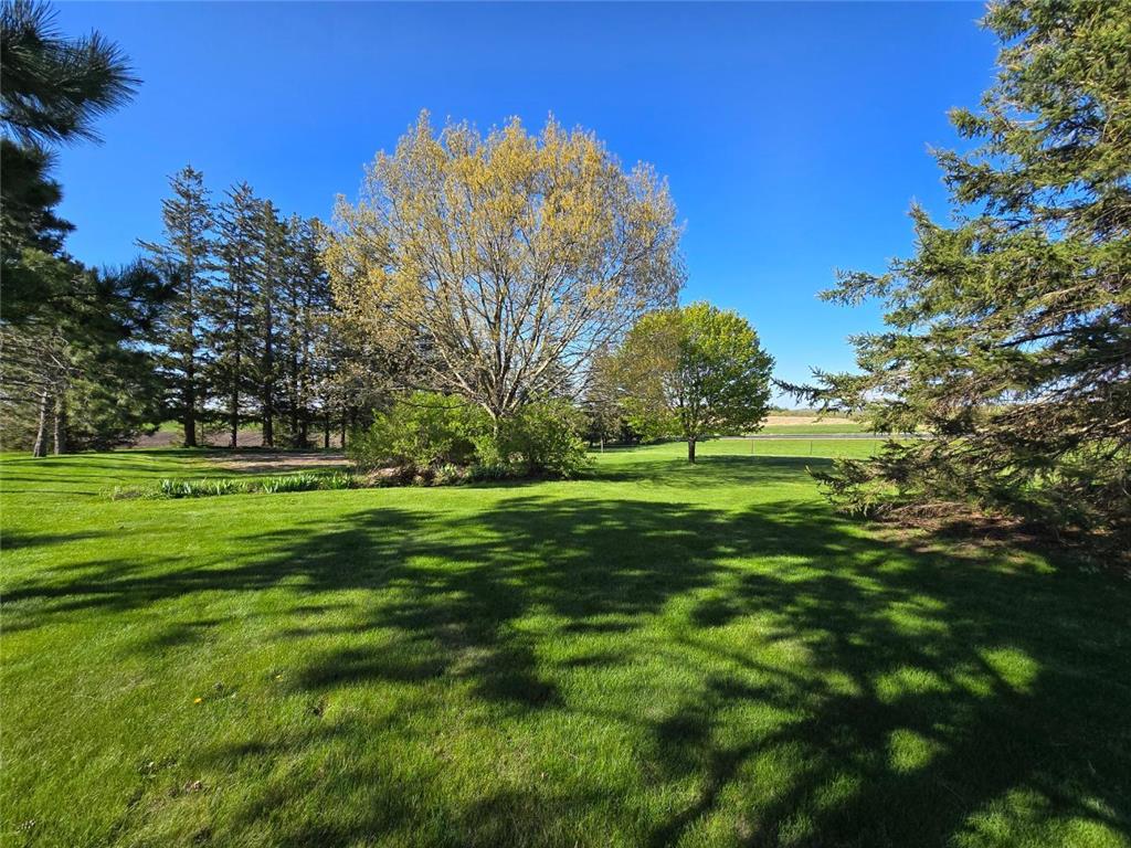 33303 County Road 29 Peterson MN 55962 7058093 image51