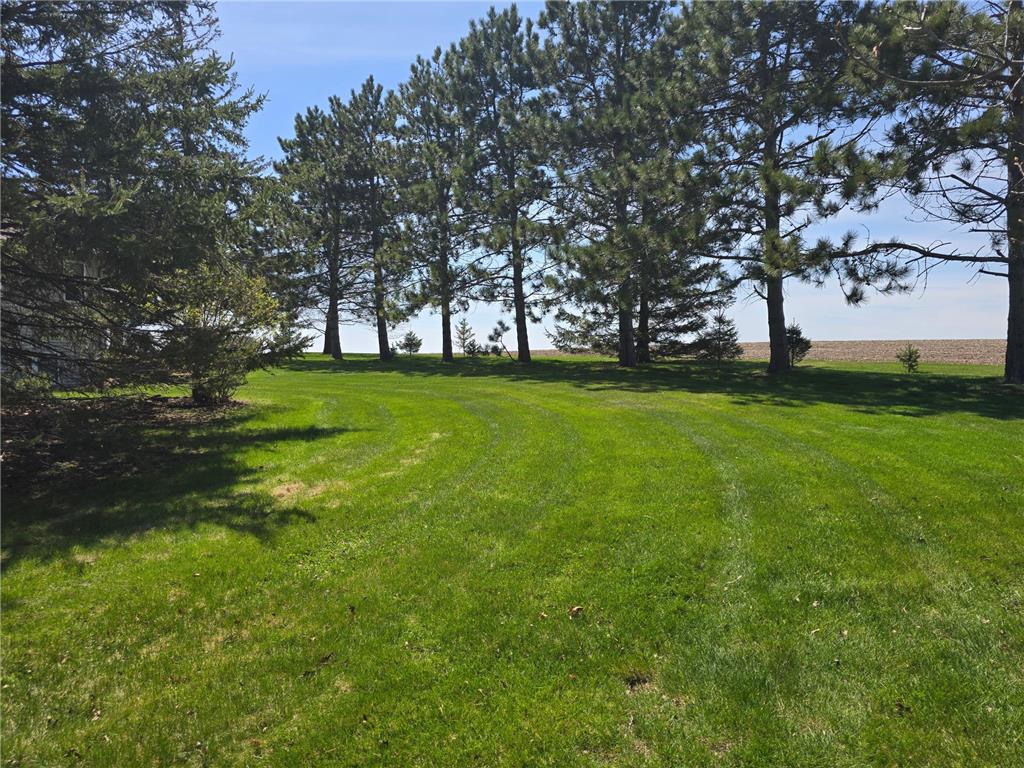 33303 County Road 29 Peterson MN 55962 7058093 image53