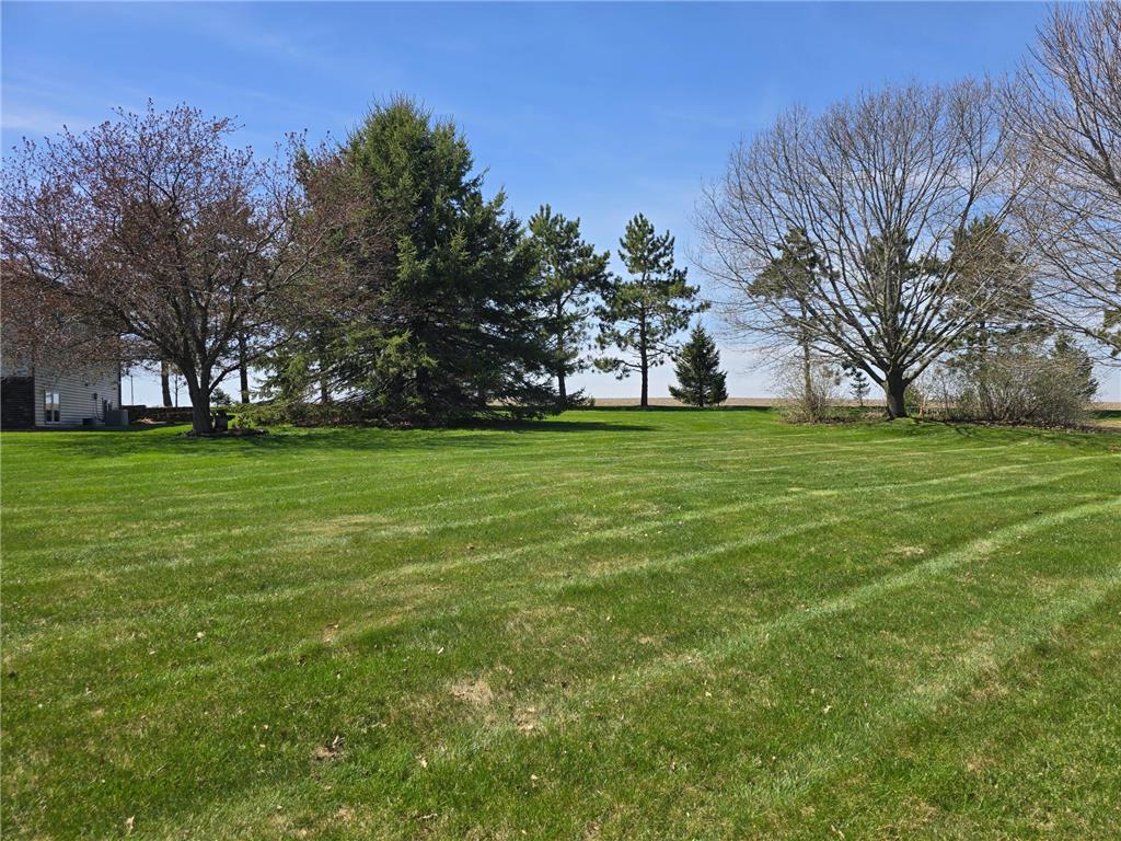 33303 County Road 29 Peterson MN 55962 7058093 image54