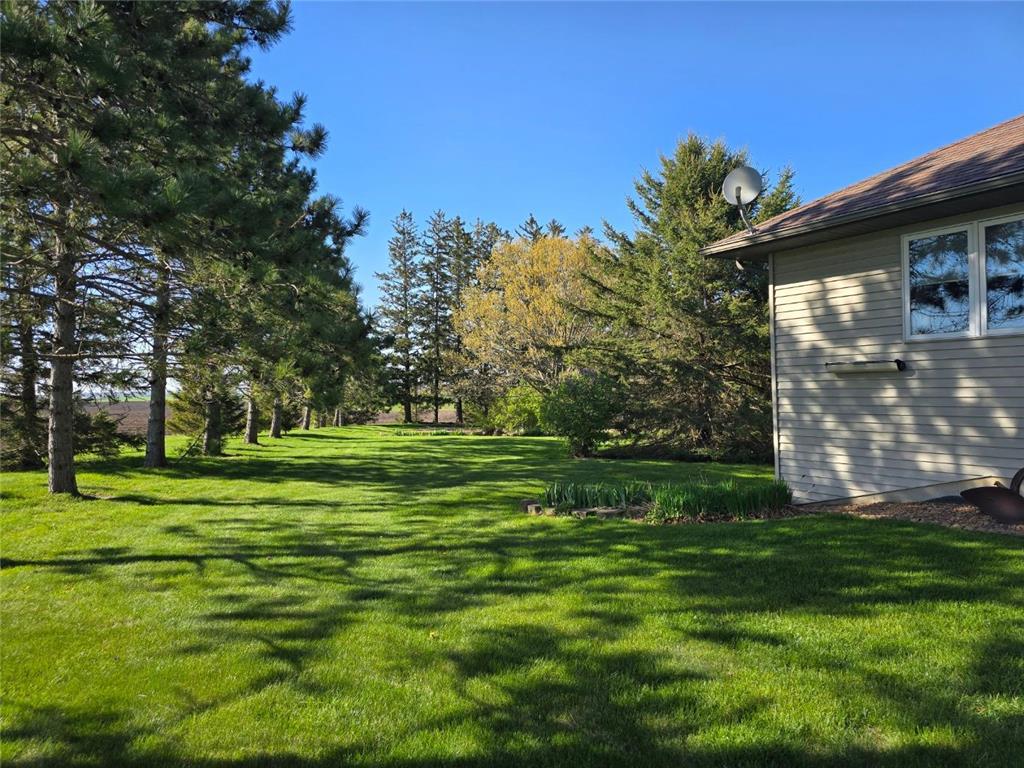 33303 County Road 29 Peterson MN 55962 7058093 image55
