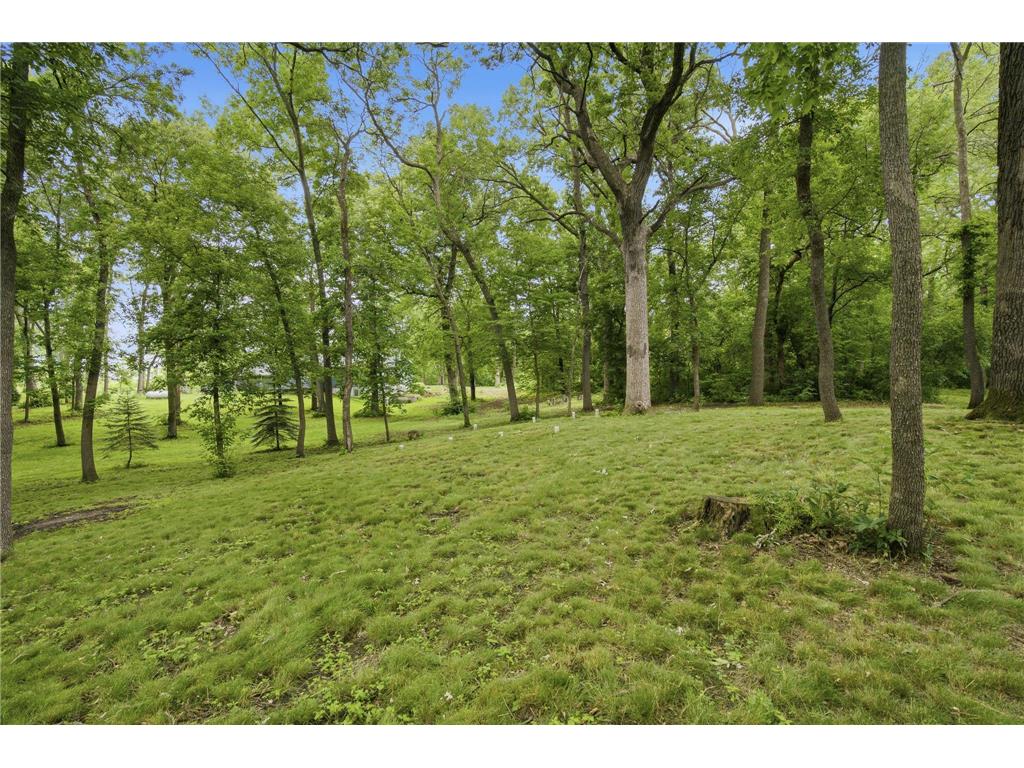 33315 Sand Prairie Lane Henderson Twp MN 56058 7091372 image44