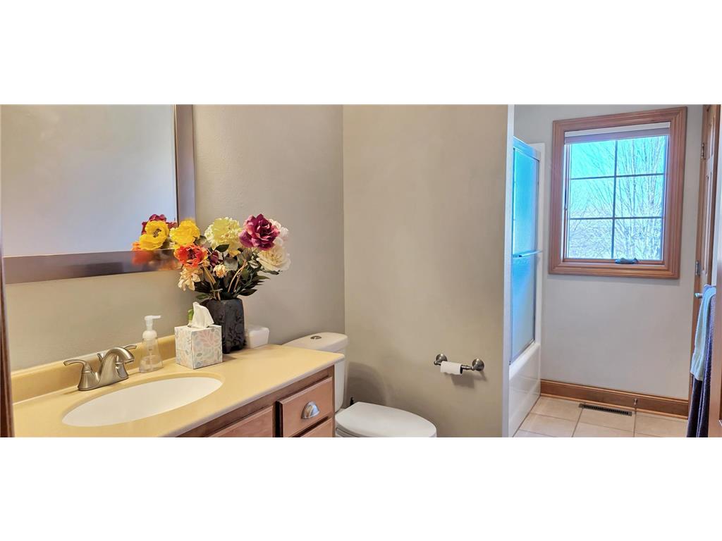 33405 Oak Ridge Avenue Redwood Falls MN 56283 7050041 image32