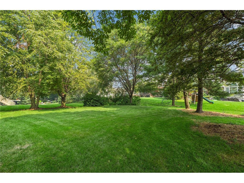 3344 Charleston Drive Woodbury MN 55129 7111502 image54