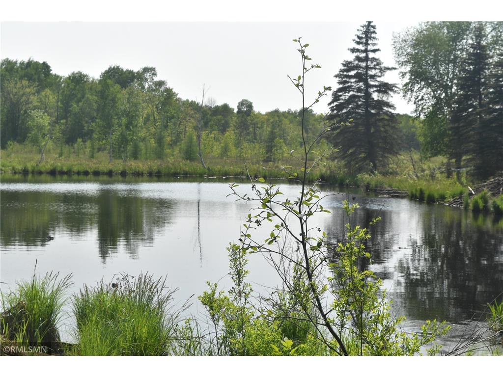 33469 Pine Cone Hinckley MN 55037 6377249 image1