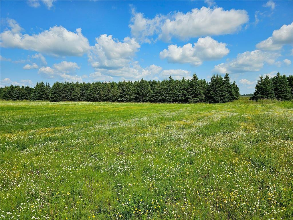 334XX Co Hwy 77 Wadena MN 56482 6572456 image1