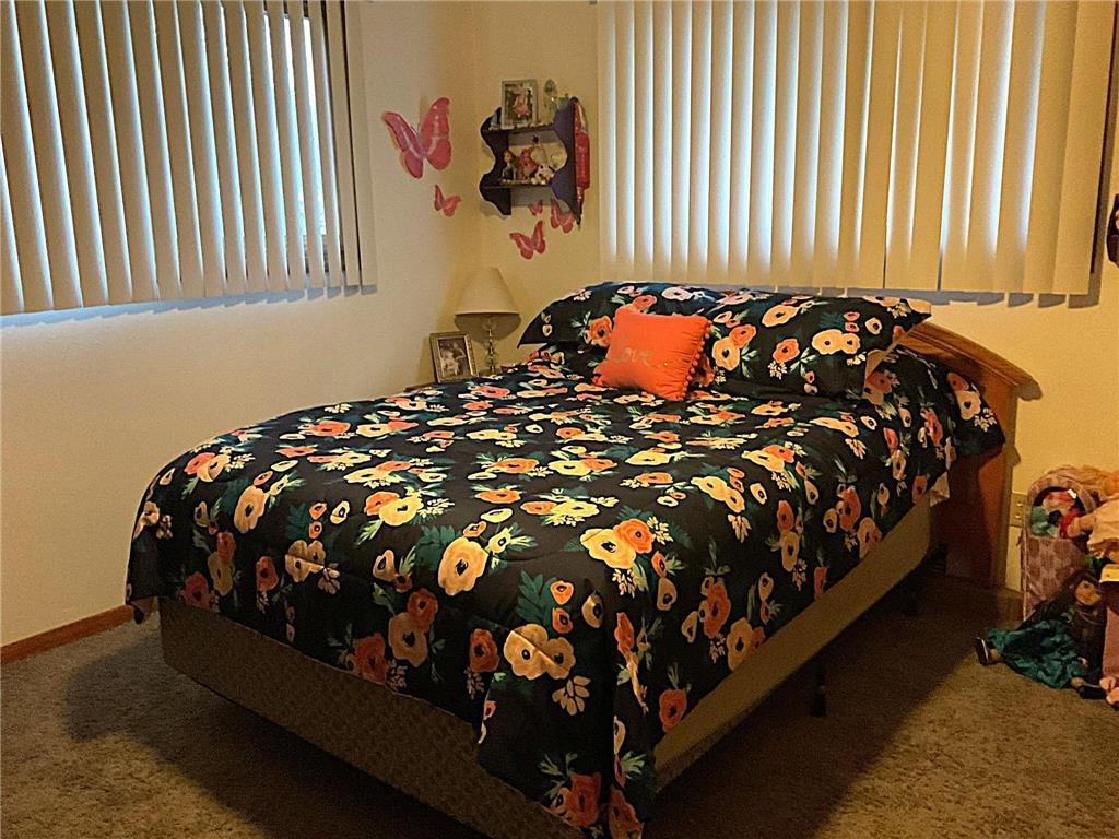 335 E Sorenson Avenue Appleton MN 56208 7005901 image16