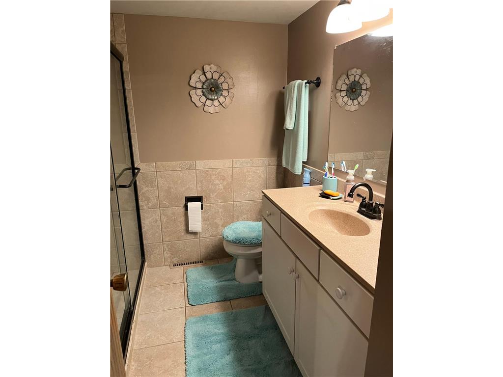 335 E Sorenson Avenue Appleton MN 56208 7005901 image19