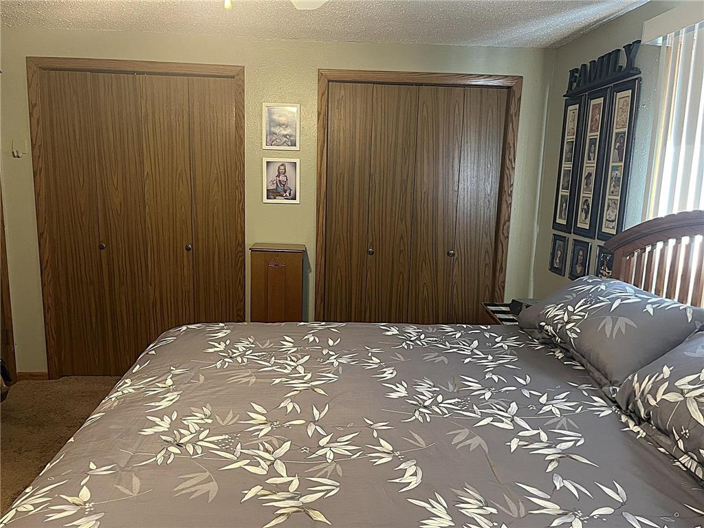 335 E Sorenson Avenue Appleton MN 56208 7005901 image21