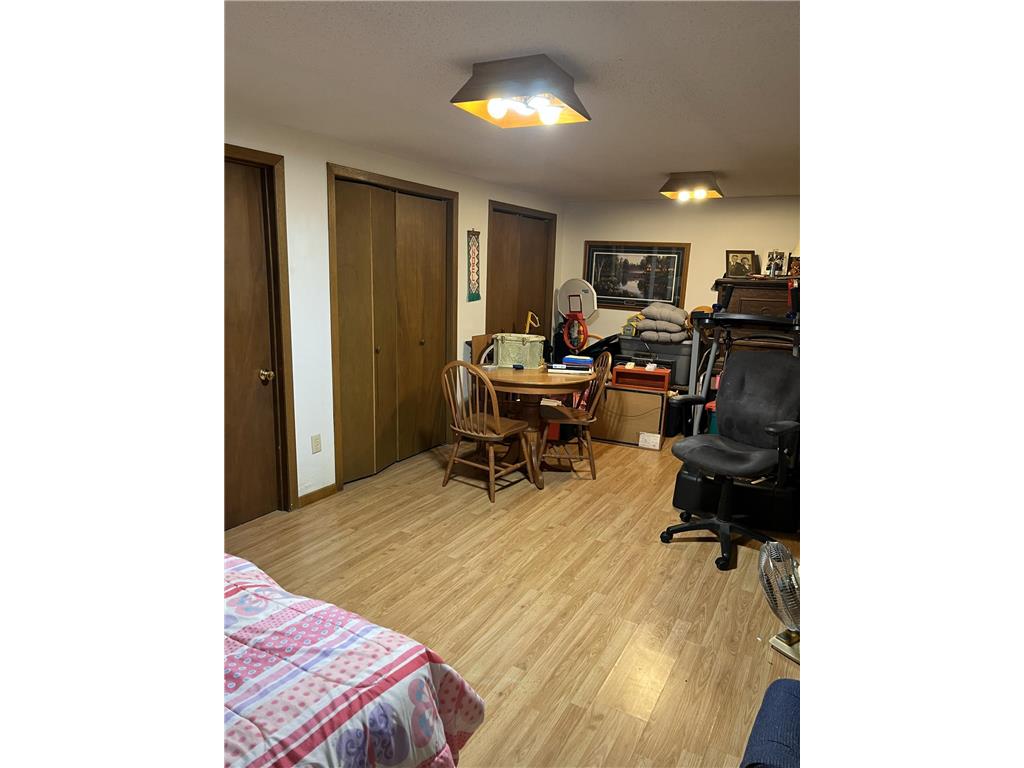 335 E Sorenson Avenue Appleton MN 56208 7005901 image23