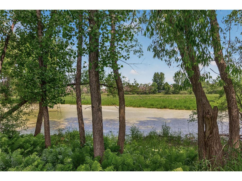 3351 N View Lane Woodbury MN 55125 7085797 image44