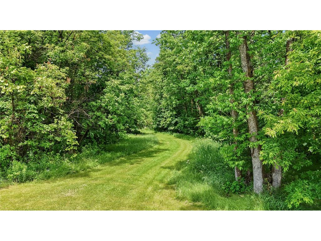 33532 State Hwy 46 Deer River MN 56636 7094165 image44