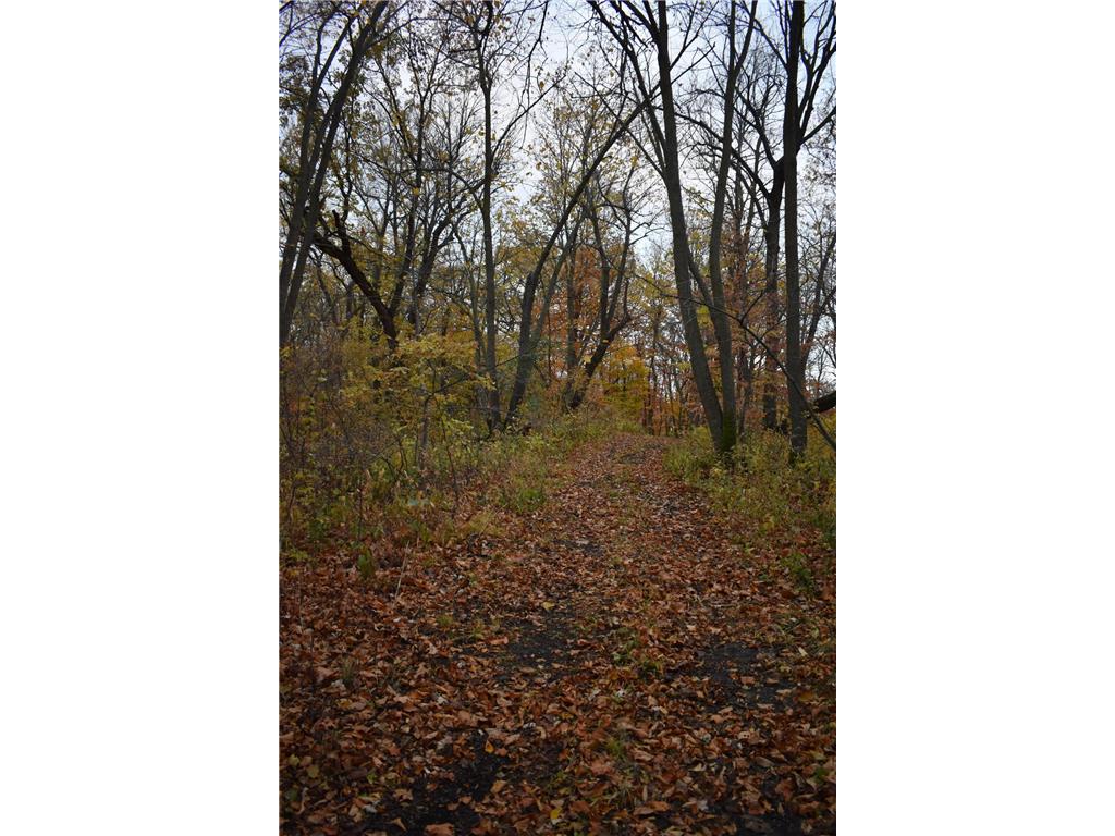 3354 Shorewood Drive SW Urness Twp MN 56343 7040495 image24