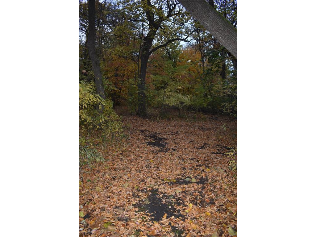 3354 Shorewood Drive SW Urness Twp MN 56343 7040495 image25