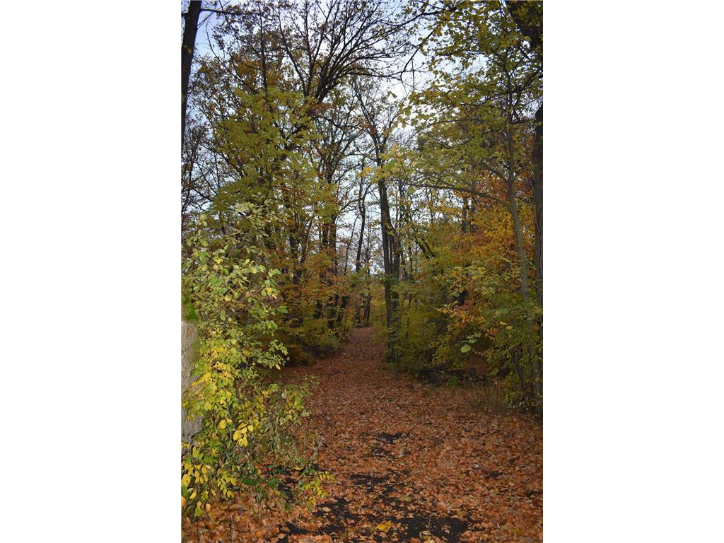 3354 Shorewood Drive SW Urness Twp MN 56343 7040495 image27