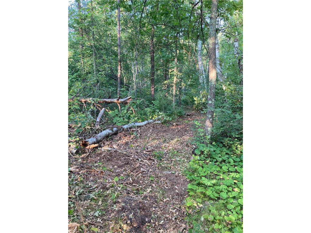 33594 County 38 Walker MN 56484 6412826 image1