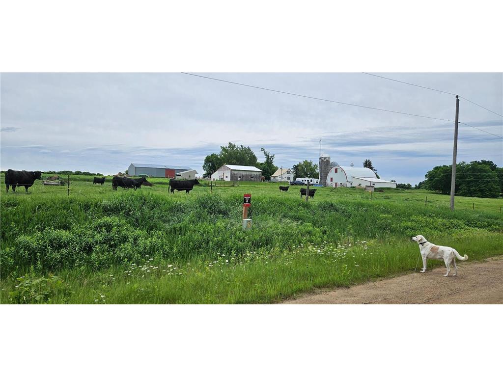 33598 State 28 Burnhamville Twp MN 56318 - Moose Lake 7094422 image31