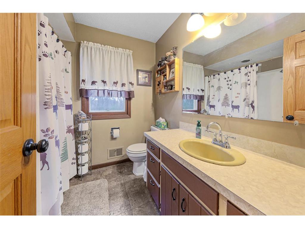 33599 322nd Street Le Sueur MN 56058 6817801 image12