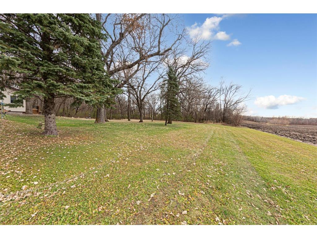 33599 322nd Street Le Sueur MN 56058 6817801 image24