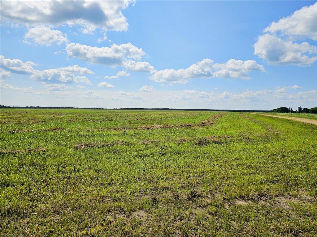 335XX Co Hwy 77 [D] Wadena MN 56482 6694860 image1