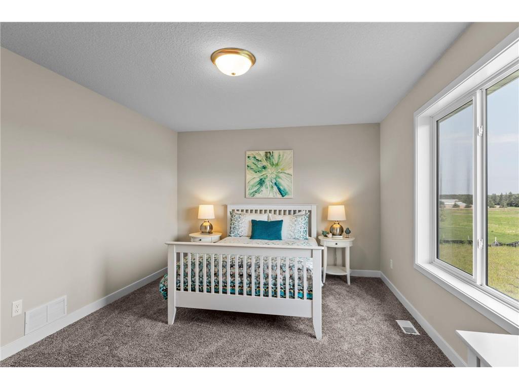 336 Ridge Road Le Sueur MN 56058 6814921 image30