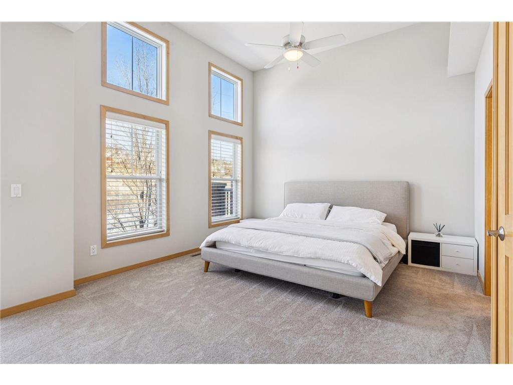 336 Spring Street Saint Paul MN 55102 7076841 image27