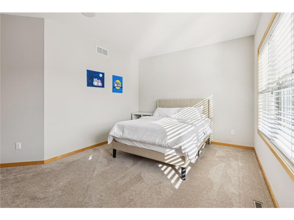 336 Spring Street Saint Paul MN 55102 7076841 image37