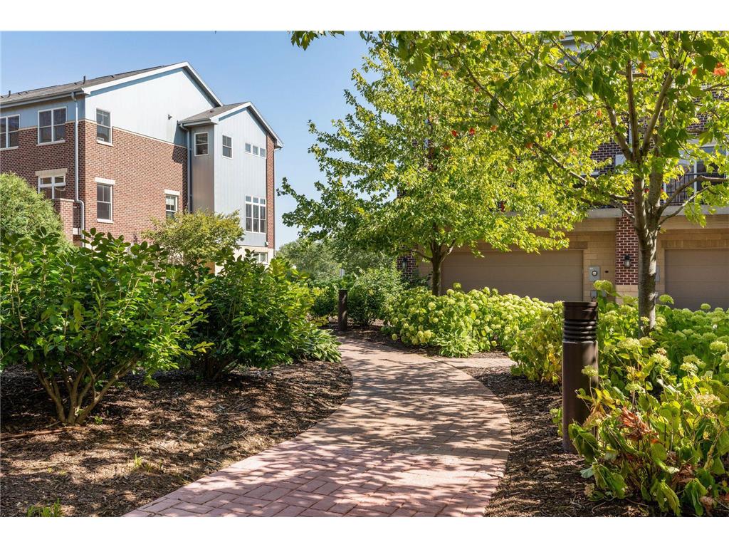 336 Spring Street Saint Paul MN 55102 7076841 image49