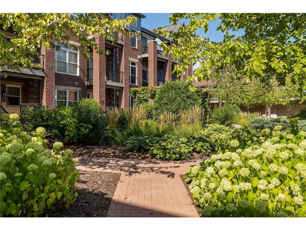 336 Spring Street Saint Paul MN 55102 7076841 image50