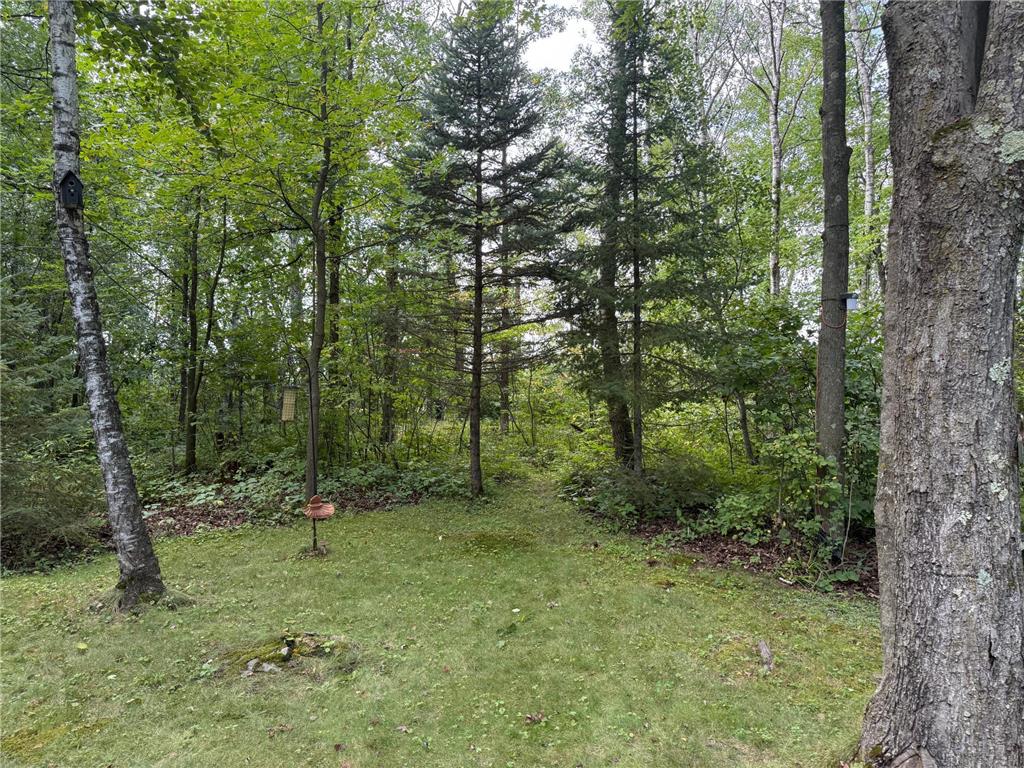 33622 Aspen Road Mission Creek Twp MN 55007 6781009 image13