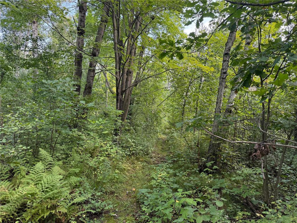 33622 Aspen Road Mission Creek Twp MN 55007 6781009 image14