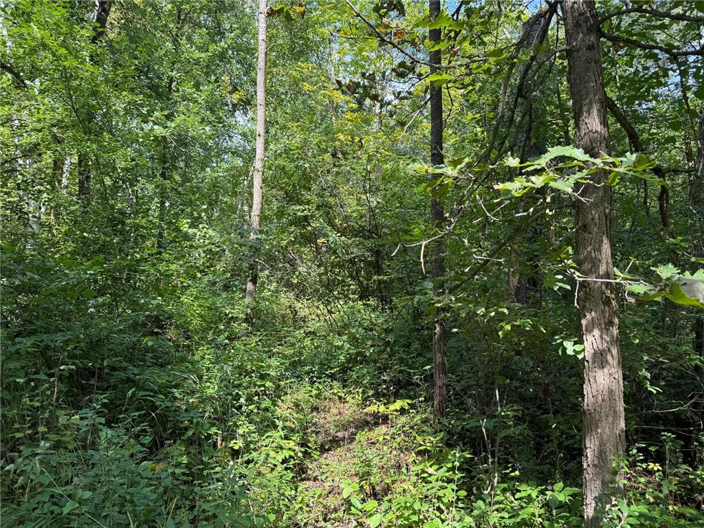 33622 Aspen Road Mission Creek Twp MN 55007 6781009 image15