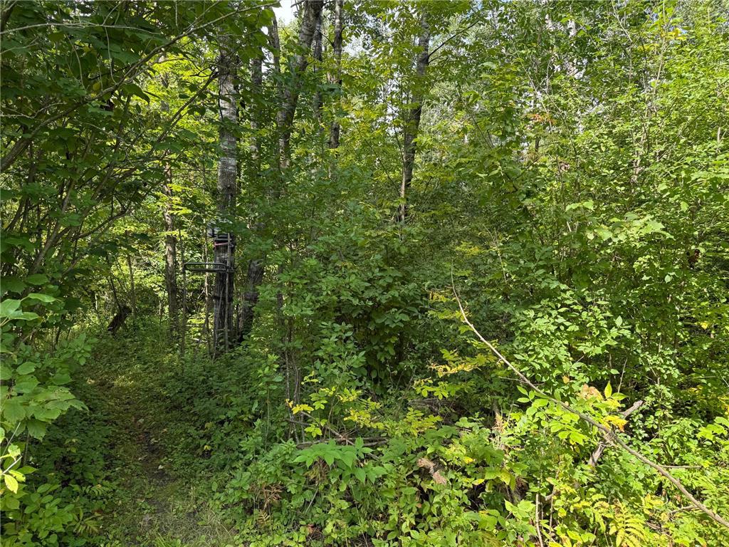 33622 Aspen Road Mission Creek Twp MN 55007 6781009 image16