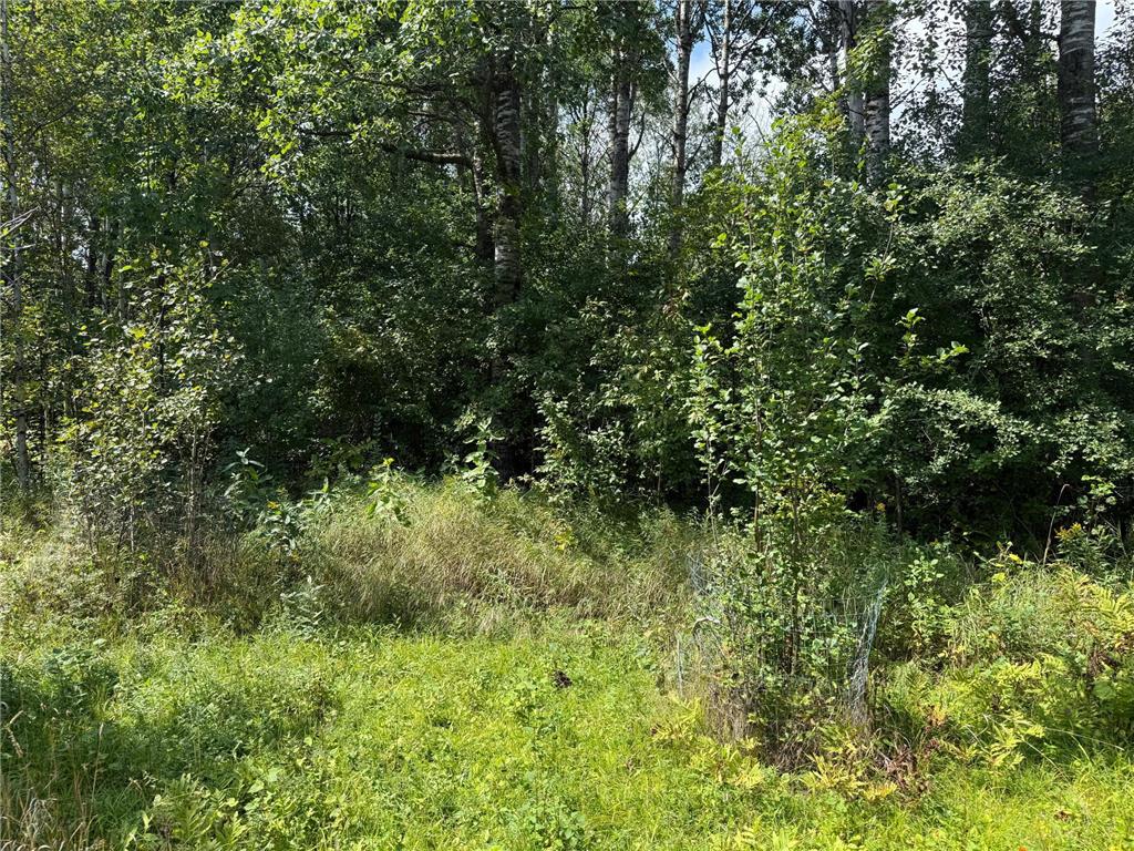 33622 Aspen Road Mission Creek Twp MN 55007 6781009 image18