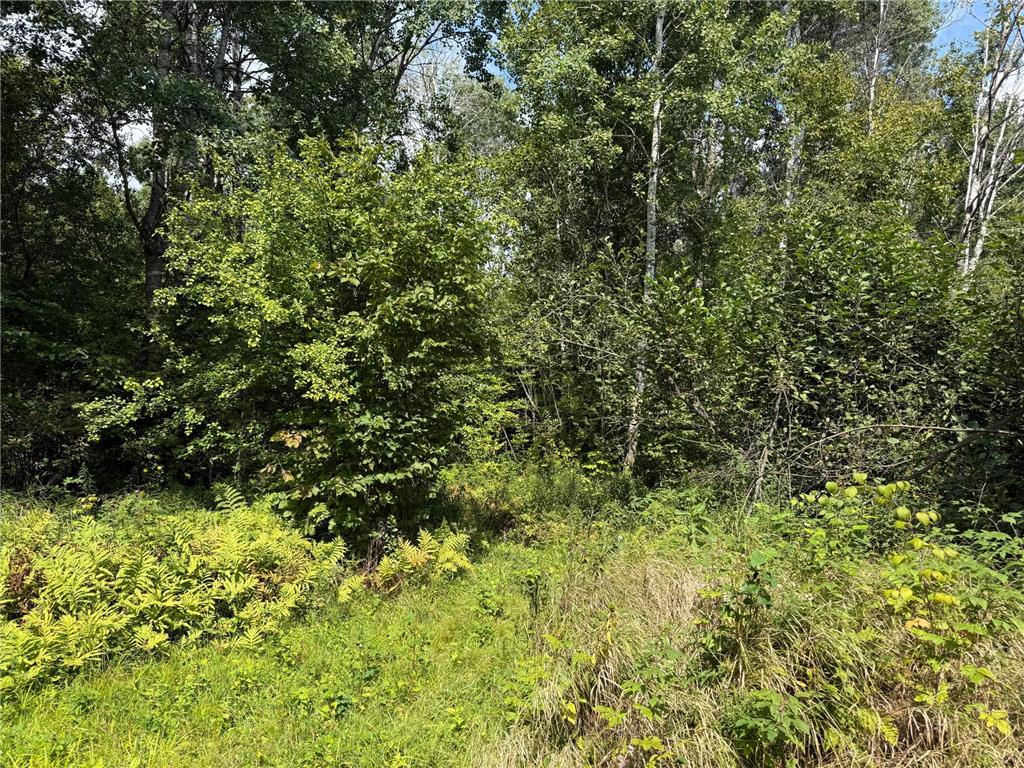 33622 Aspen Road Mission Creek Twp MN 55007 6781009 image19