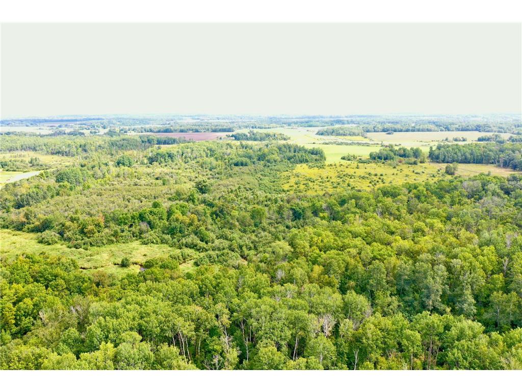 33622 Aspen Road Mission Creek Twp MN 55007 6781009 image2