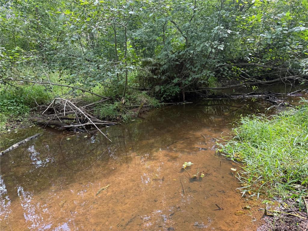 33622 Aspen Road Mission Creek Twp MN 55007 6781009 image23