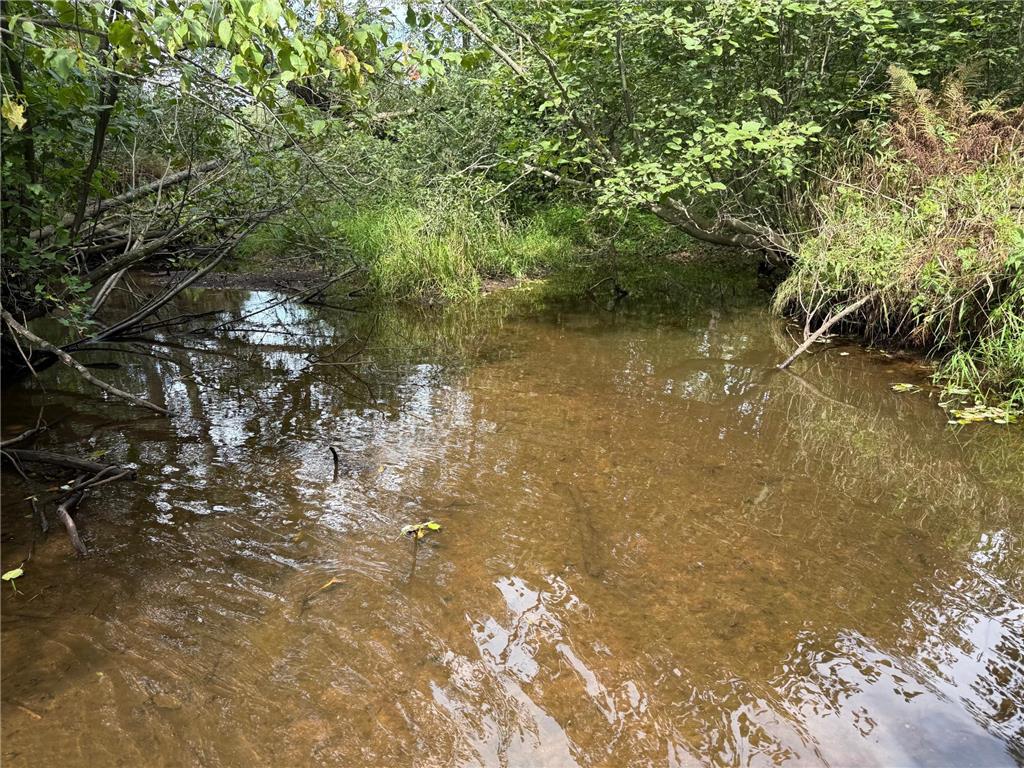 33622 Aspen Road Mission Creek Twp MN 55007 6781009 image24