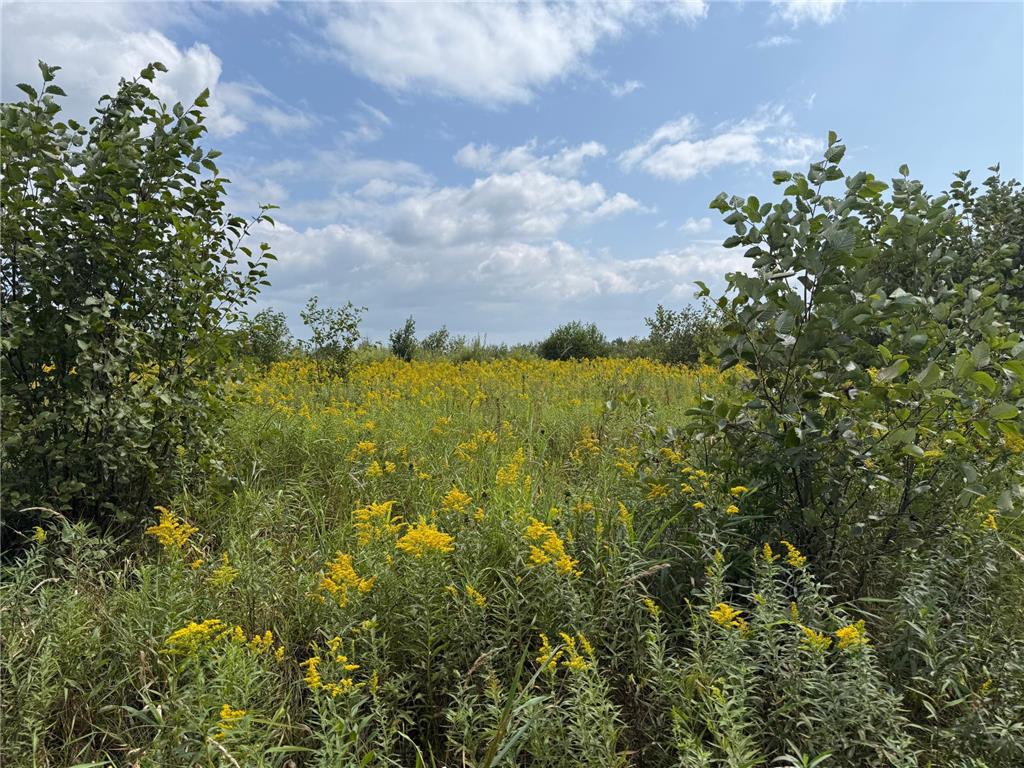 33622 Aspen Road Mission Creek Twp MN 55007 6781009 image26