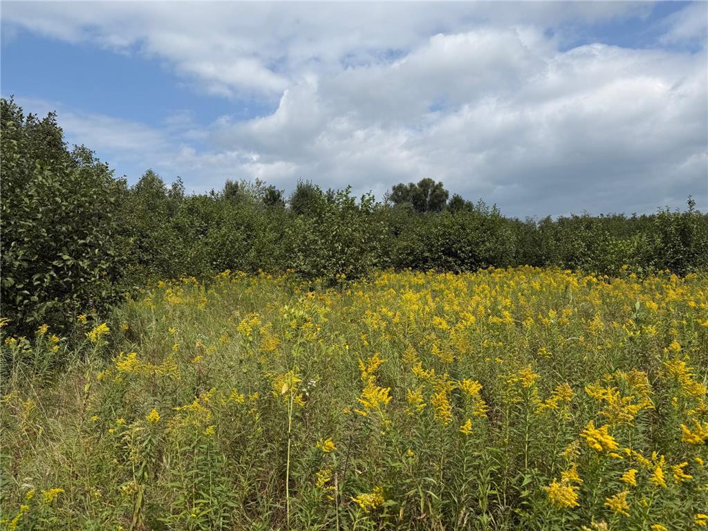 33622 Aspen Road Mission Creek Twp MN 55007 6781009 image27