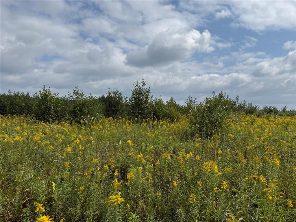 33622 Aspen Road Mission Creek Twp MN 55007 6781009 image28