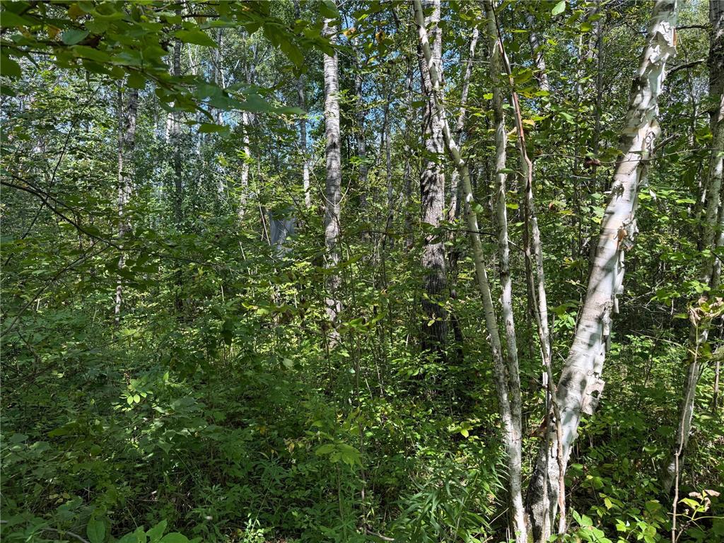 33622 Aspen Road Mission Creek Twp MN 55007 6781009 image31