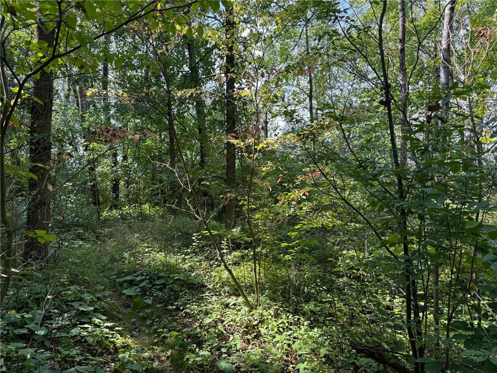 33622 Aspen Road Mission Creek Twp MN 55007 6781009 image34