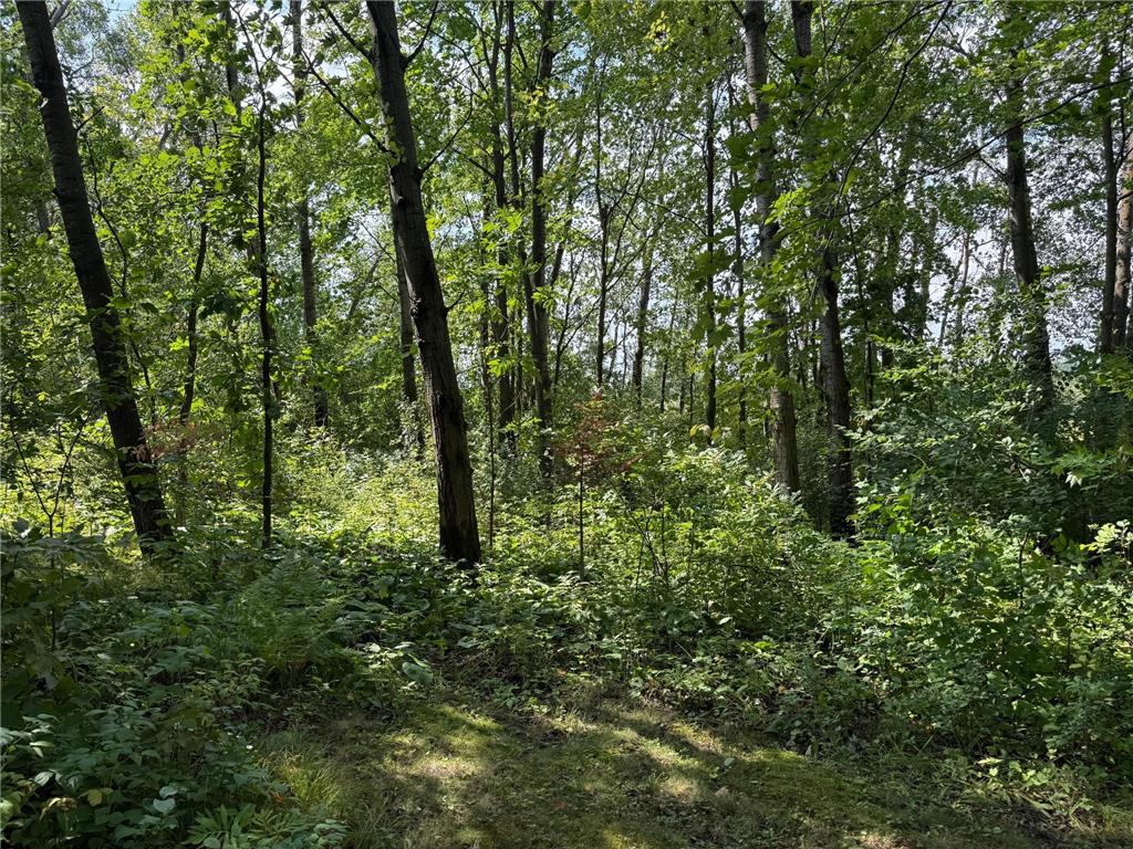 33622 Aspen Road Mission Creek Twp MN 55007 6781009 image35